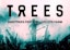 2000Trees 2020 added Jimmy Eat World to the roster