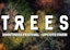 2000Trees 2020 added Young Guns and 35 more artists to the roster