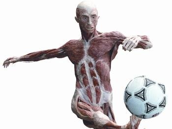 Gunther von Hagen's Body Worlds