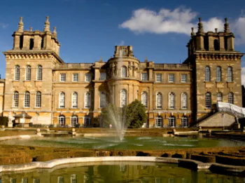 Picture of Illuminated Trail