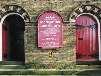 Booth Museum Of Natural History