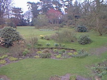 Beech Court Gardens
