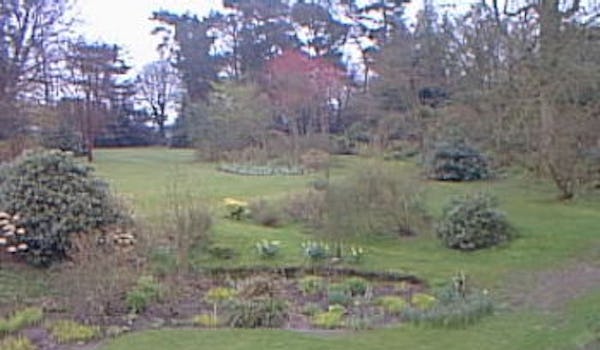 Beech Court Gardens