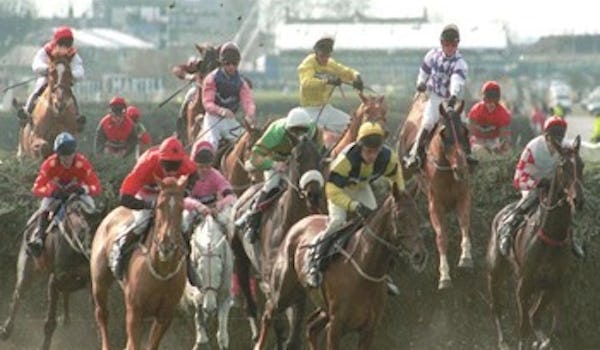 The Crabbies Grand National 