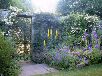 Acorn Bank Garden & Watermill