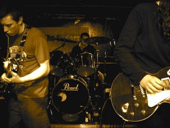 Flies Are Spies From Hell