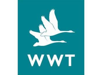 WWT Caerlaverock Wetland Centre
