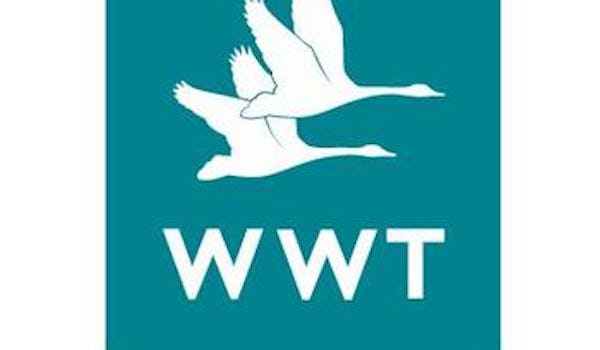 WWT Caerlaverock Wetland Centre