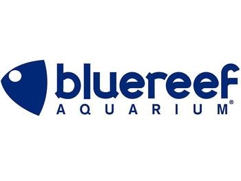 Blue Reef Aquarium