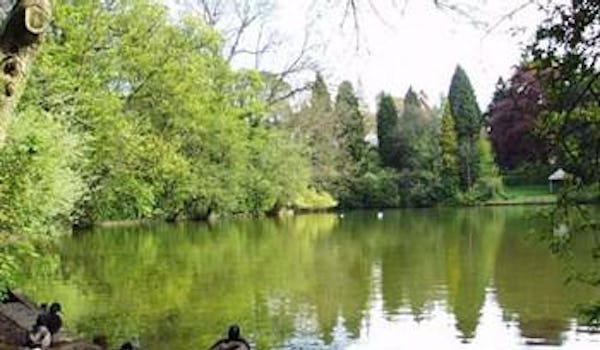 Moseley Park & Pool events