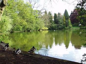 Moseley Park & Pool Events