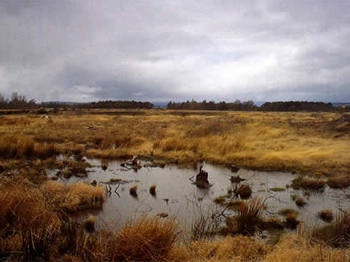 Culloden Battlefield Visitor Centre