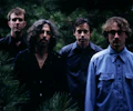 Califone appearing at this event