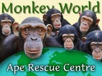 Monkey World