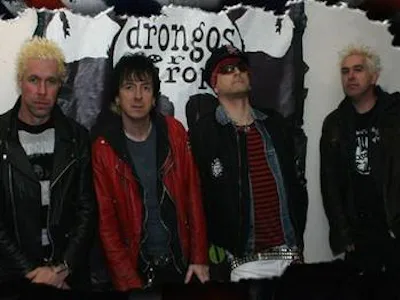 Picture of Drongos For Europe