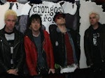Drongos For Europe artist photo