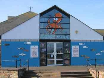 The Lake District Coast Aquarium