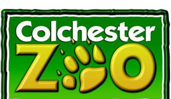 Colchester Zoo events