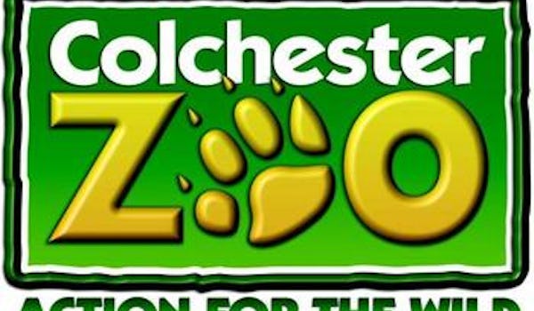 Kickstart Your Christmas With Colchester Zoo
