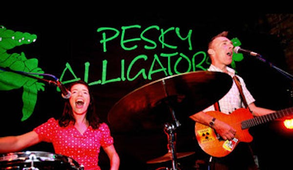 Pesky Alligators