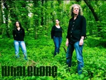Whalebone