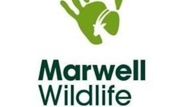 Marwell Wildlife events