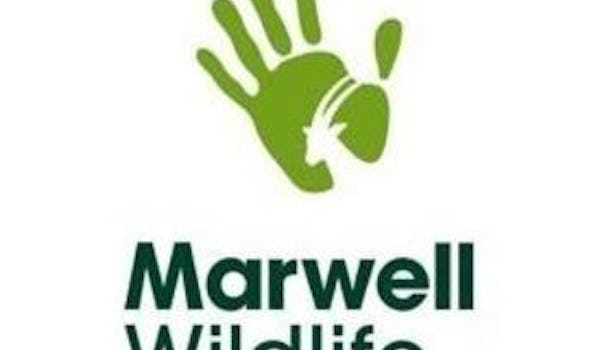 Marwell Photographic Experience Days