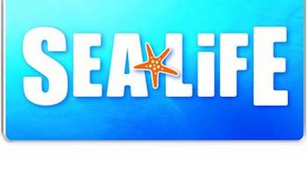Great Yarmouth SEA LIFE Centre events