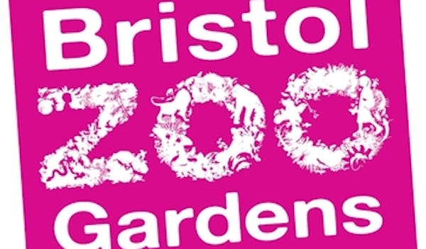 Bristol Zoo's Big Night Out