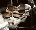 Tcha Limberger's Kalotaszeg Trio appearing at this event