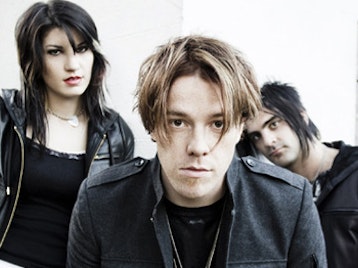 Sick Puppies picture