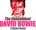 The Sensational David Bowie Tribute Band appearing at this event