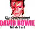 The Sensational David Bowie Tribute Band appearing at this event