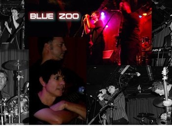 Blue Zoo
