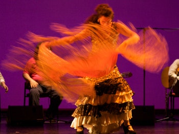 Ester's Flamenco Academy