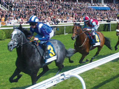 Picture of Boodles May Festival Chester Cup Day 2026
