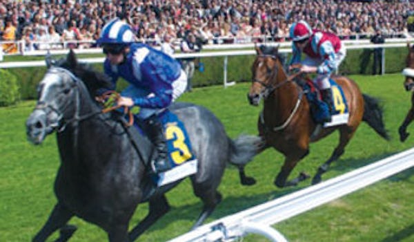 Chester Races 2015 - City Plate Day
