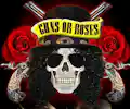 Guns or Roses appearing at this event