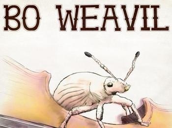 Bo Weavil