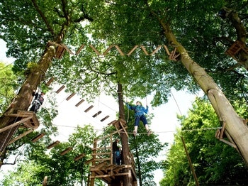 Beamish Wild High Ropes