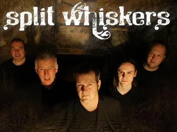 Picture of Split Whiskers