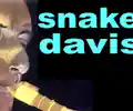 Snake Davis Band appearing at this event