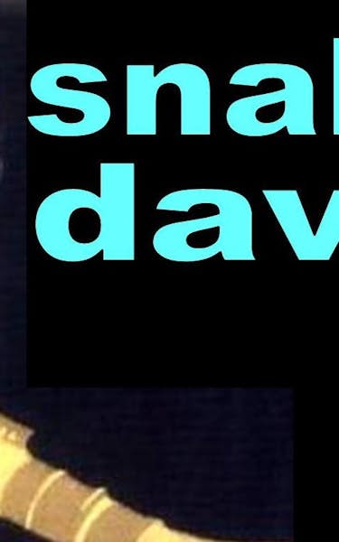 Snake Davis Band Tour Dates