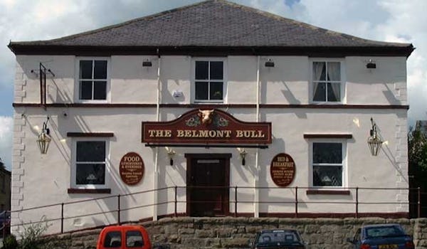 Belmont Bull