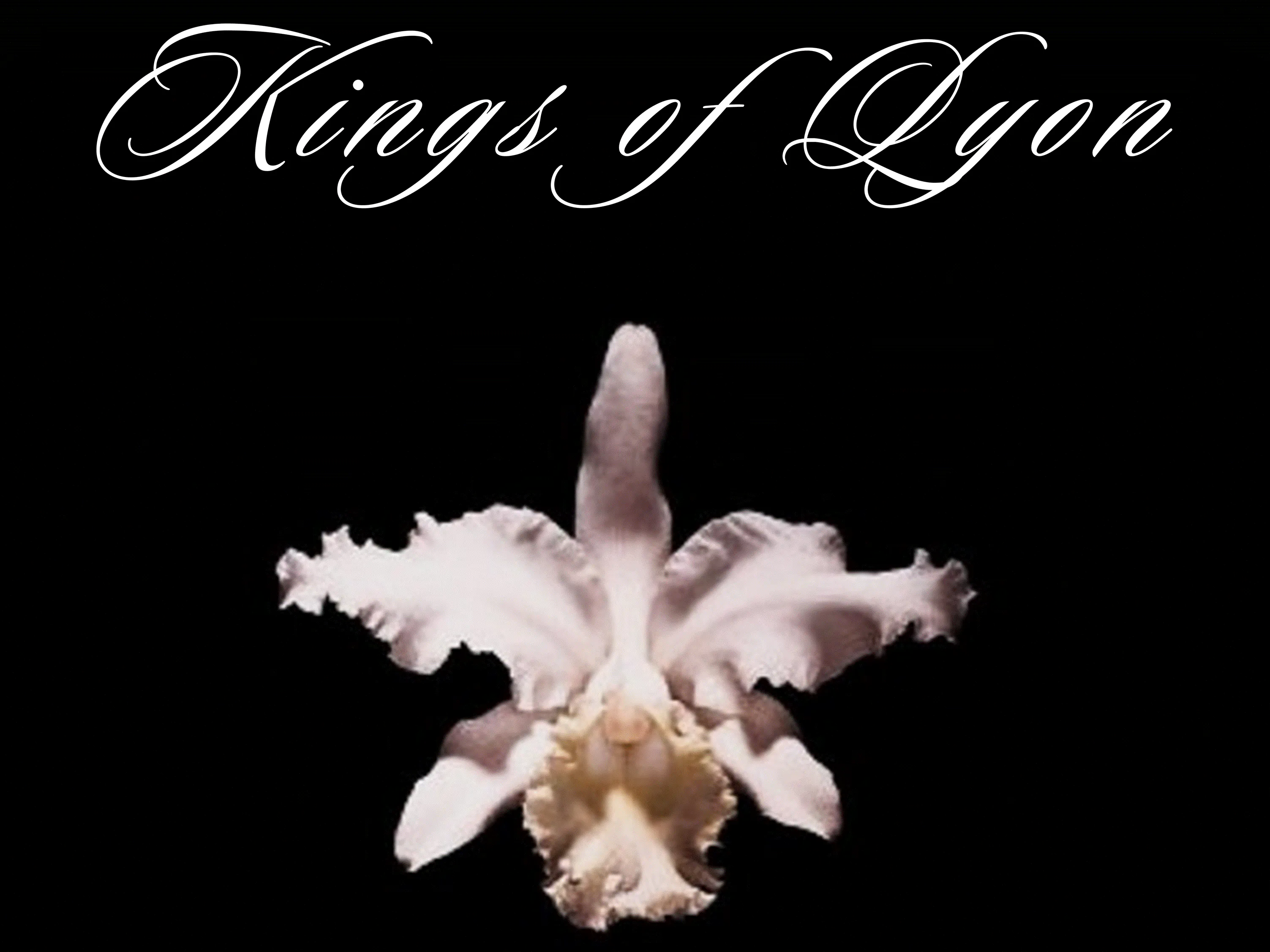 Picture of Kings Of Lyon