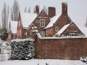 Christmas At Winterbourne House And Garden picture