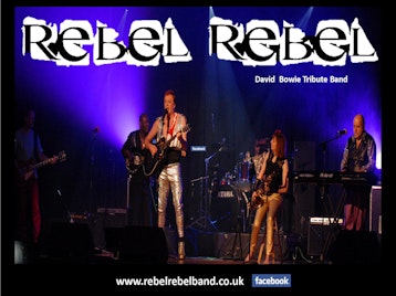 Rebel Rebel picture