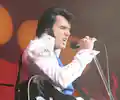 The World Famous Elvis Show with Chris Connor appearing at this event