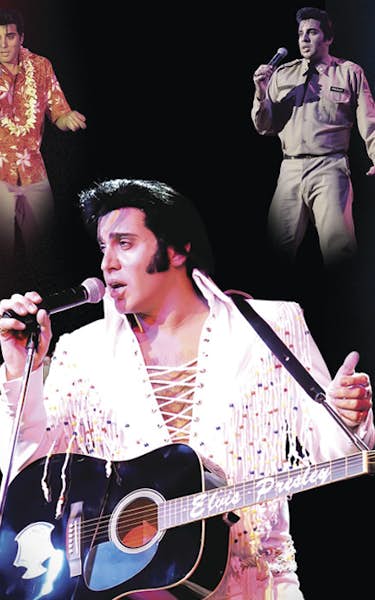 The Elvis Years (2)