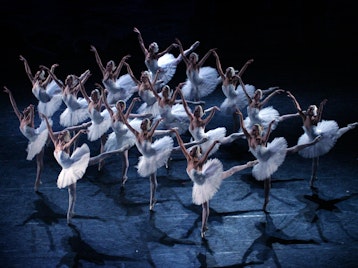 Swan Lake : Moscow City Ballet picture